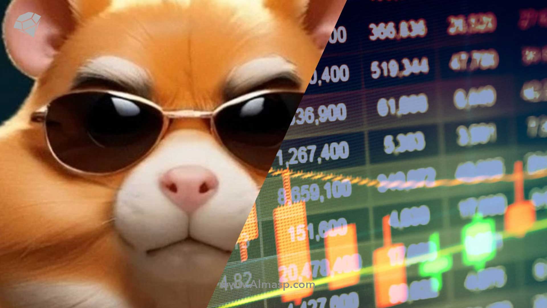 قیمت ارز همستر کامبت